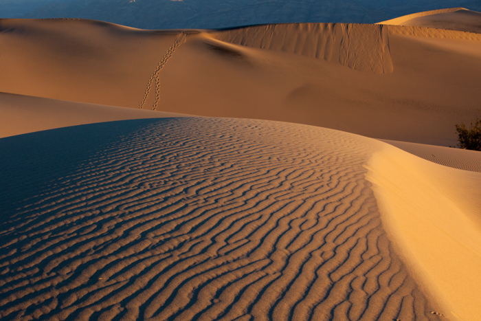 Death Valley NW 3-4490.jpg