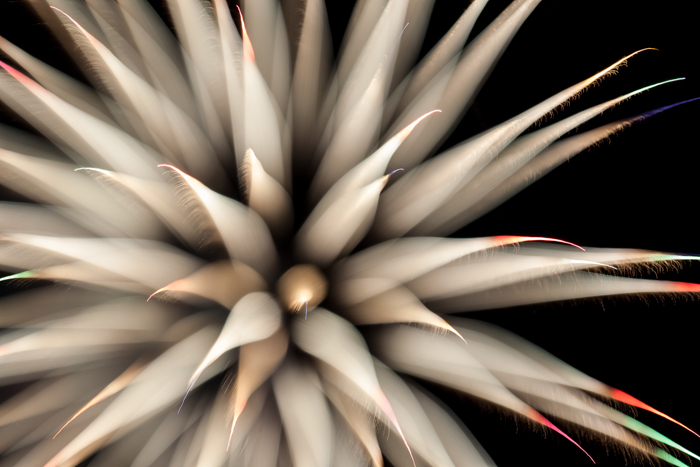 Fireworks 2-4988.jpg