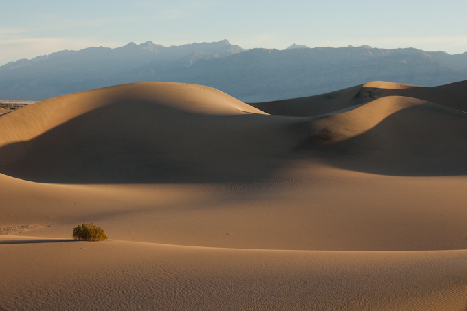 Mesquite Dune.jpg