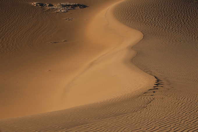 Mesquite Dune 2.jpg