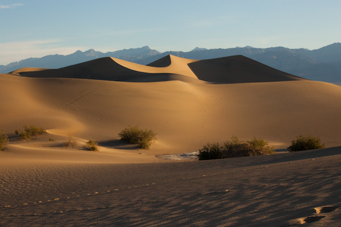 Mesquite Dune 5.jpg
