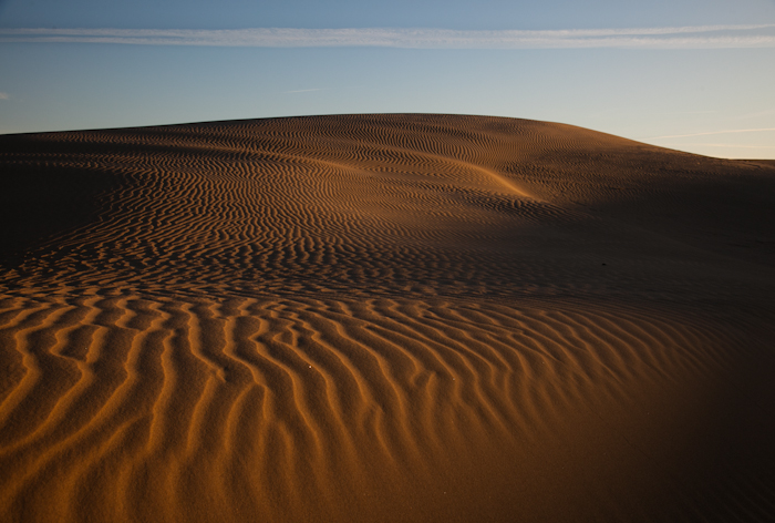 Oceano Sand Dune 7.jpg