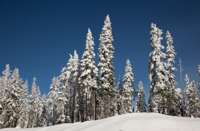 Sierra in winter 2.jpg